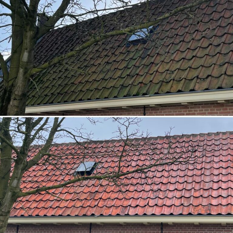 Softwash reiniging rood dak voor en na RBS Reiniging